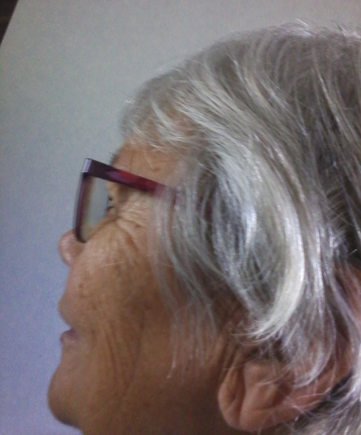 Anne BEAUD